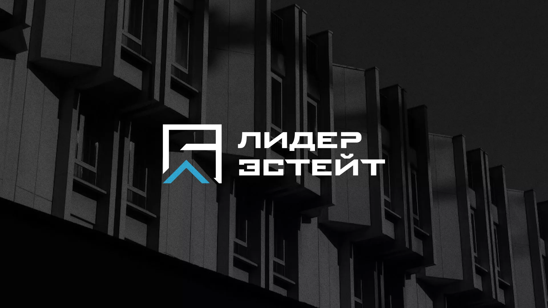 Разработка логотипа агентства недвижимости «Лидер Эстейт» в Чердыни