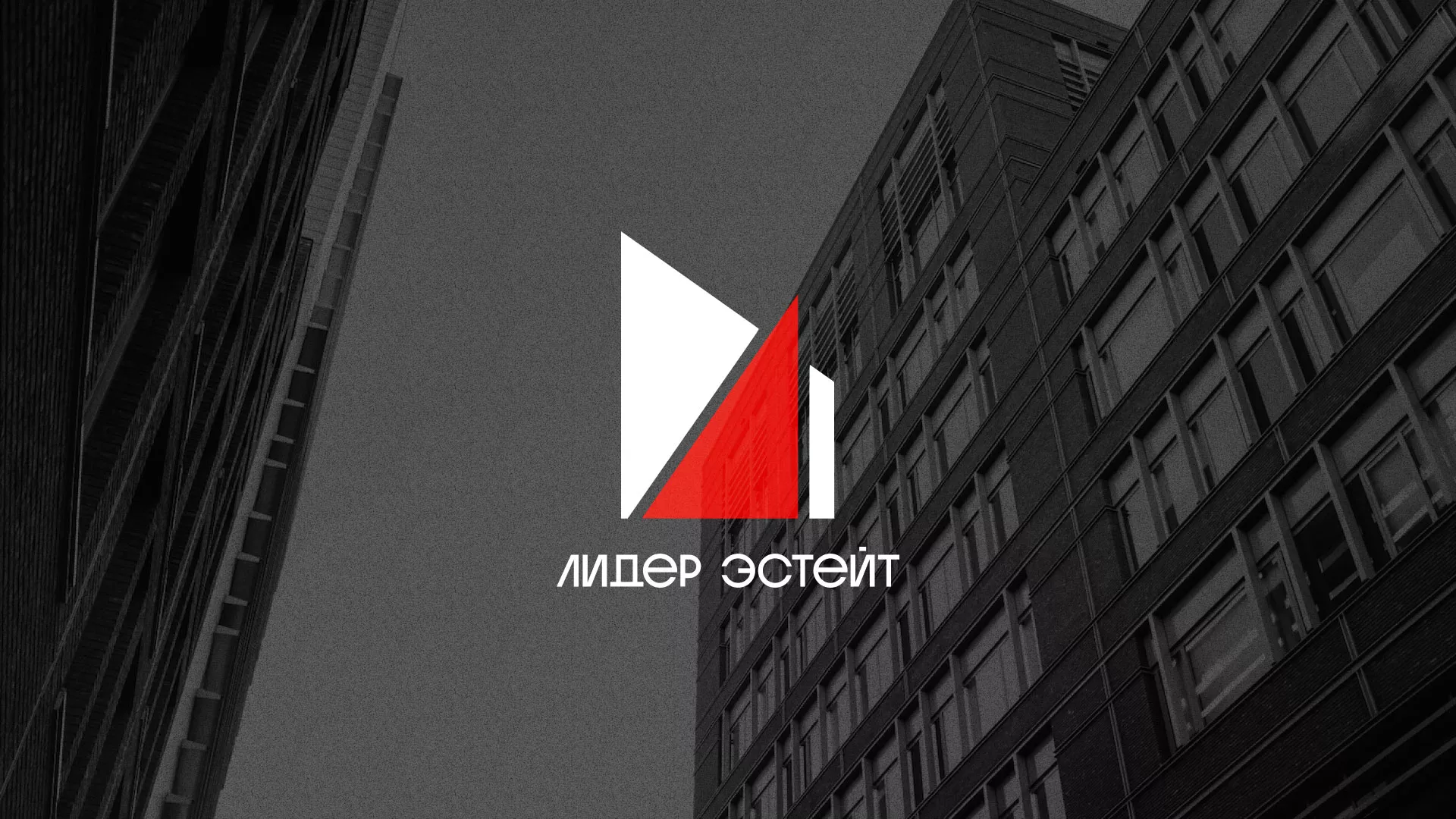 Сделали логотип для агентства недвижимости «Лидер Эстейт» в Чердыни